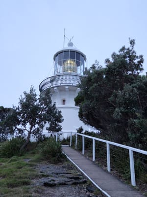 20220428_171206.jpg