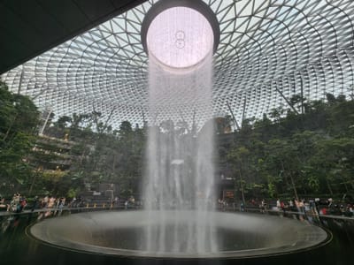 20220430_153154.jpg