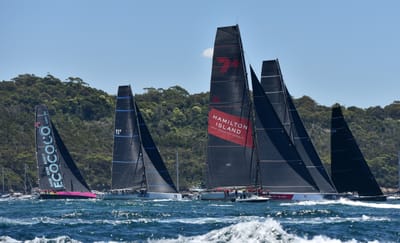 DSC_5264.JPG