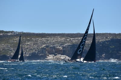 DSC_5287.JPG