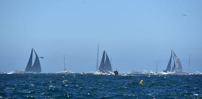 DSC_5290.JPG