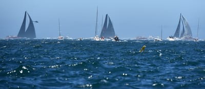 DSC_5291.JPG