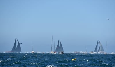DSC_5292.JPG