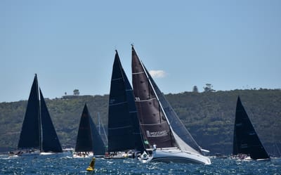 DSC_5293.JPG