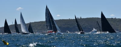 DSC_5296.JPG