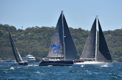 DSC_5308.JPG