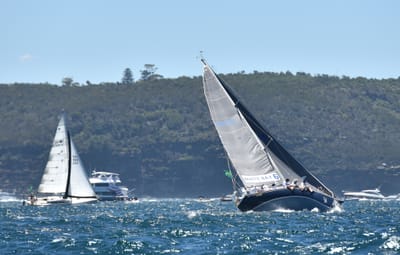 DSC_5310.JPG