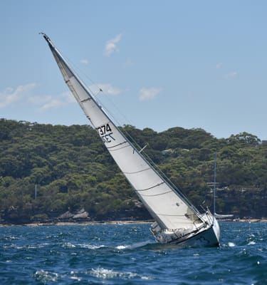 DSC_5317.JPG