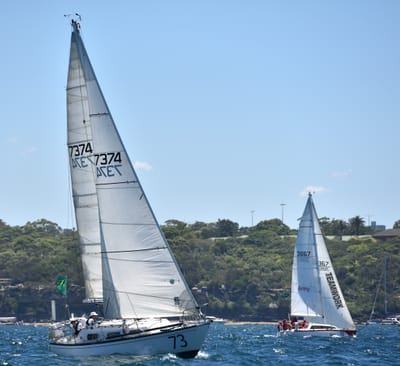 DSC_5319.JPG