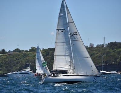 DSC_5320.JPG