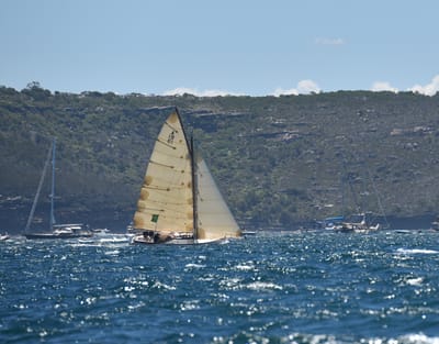 DSC_5329.JPG
