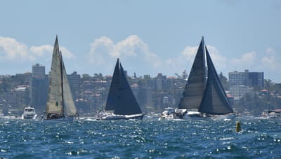 DSC_5330.JPG