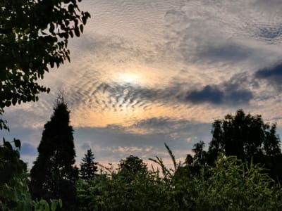 20220917_175554.jpg