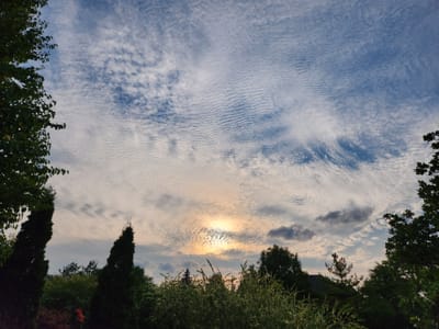 20220917_175640.jpg