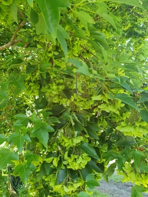 20220115_150437.jpg