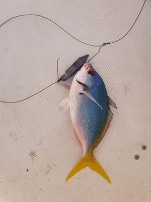 20221002_163132.jpg