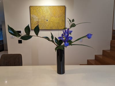 PXL_20230628_041851119.jpg