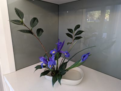 PXL_20230628_221857382.jpg