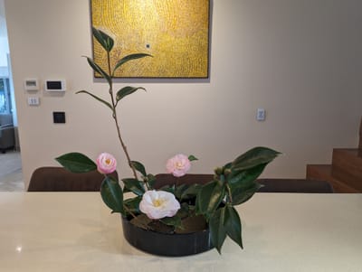 PXL_20230712_040745903.jpg