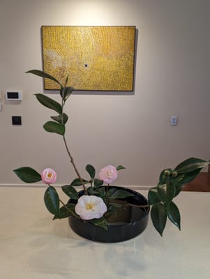 PXL_20230712_040854530.jpg