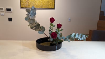 PXL_20230802_044525162.jpg