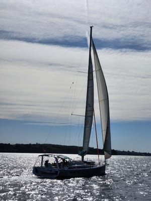 20230609_113952.jpg