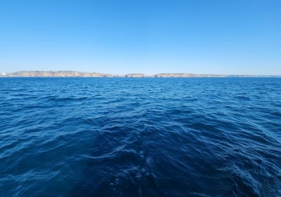 20230317_104434.jpg