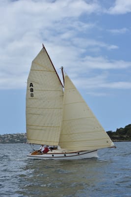 DSC_5132.JPG