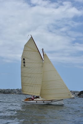 DSC_5134.JPG