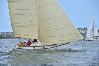 DSC_5135.JPG