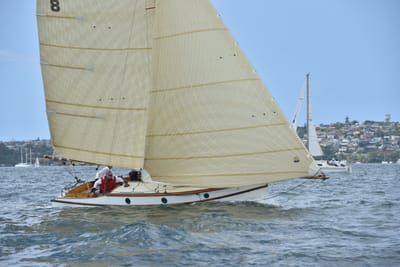 DSC_5136.JPG