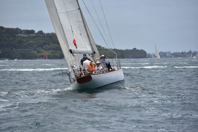 DSC_5137.JPG
