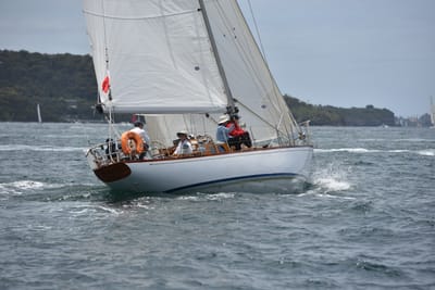 DSC_5138.JPG