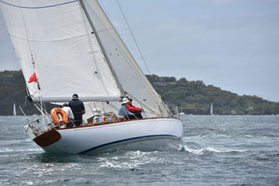 DSC_5139.JPG