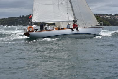 DSC_5142.JPG