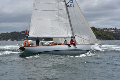 DSC_5143.JPG
