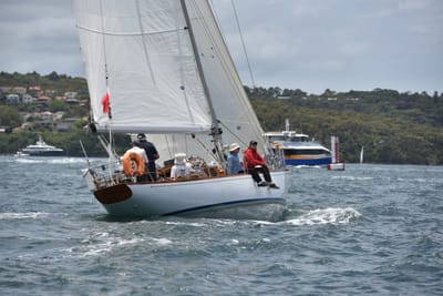 DSC_5145.JPG