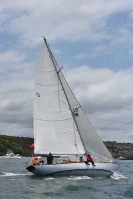 DSC_5148.JPG