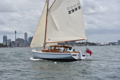 DSC_5152.JPG
