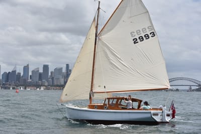 DSC_5153.JPG