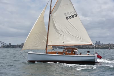 DSC_5154.JPG