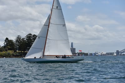 DSC_5156.JPG