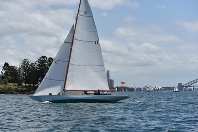 DSC_5157.JPG