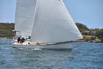 DSC_5167.JPG