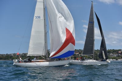 DSC_5169.JPG