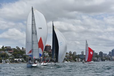 DSC_5173.JPG