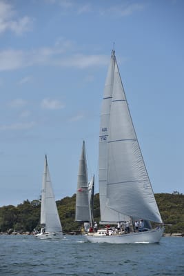 DSC_5176.JPG