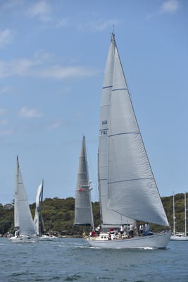 DSC_5177.JPG