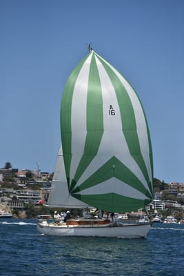DSC_5182.JPG