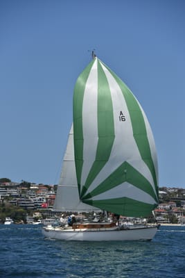 DSC_5183.JPG